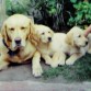 Mi flaco Bruno (el papá) con sus hijos Nacha y Mateo 2005